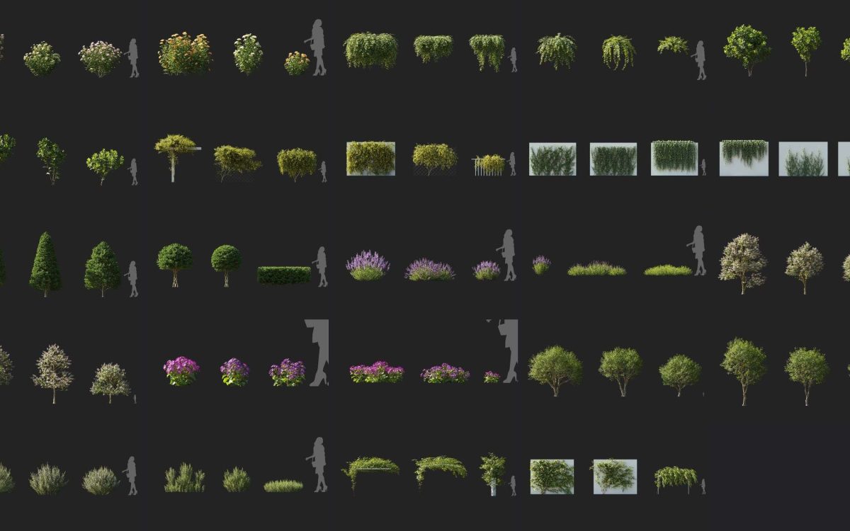 Plant Models Vol 151 - 图片 5