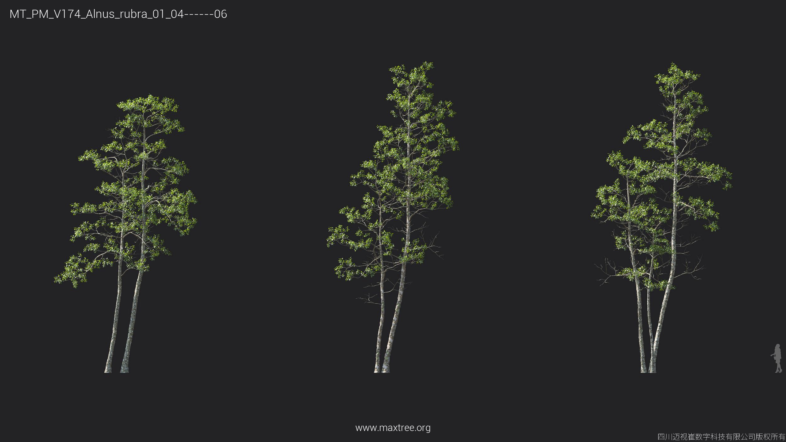 Plant Models Vol 174 - 图片 10