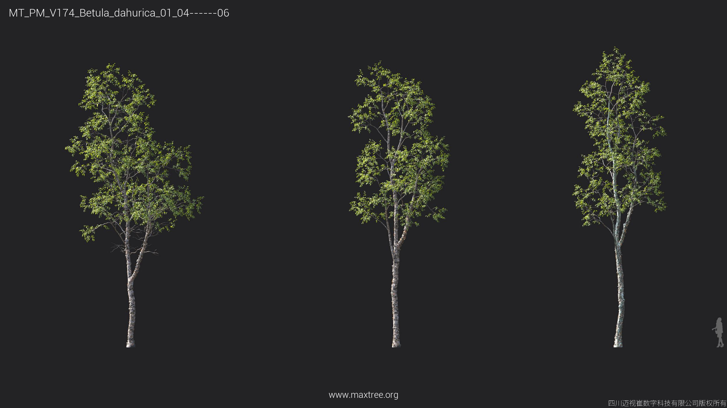 Plant Models Vol 174 - 图片 13