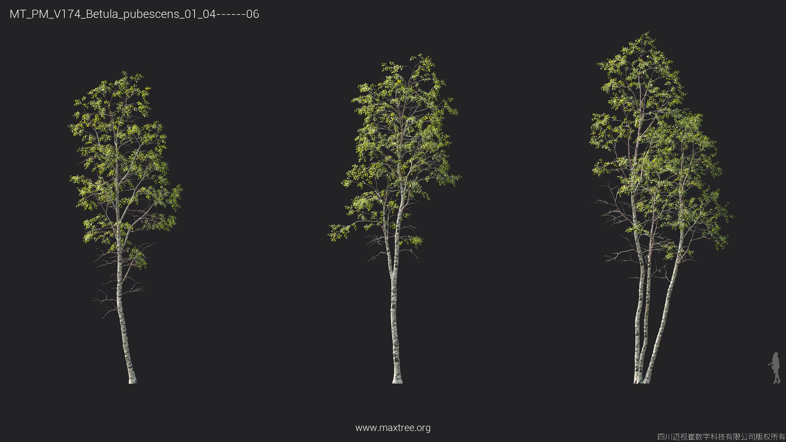 Plant Models Vol 174 - 图片 16