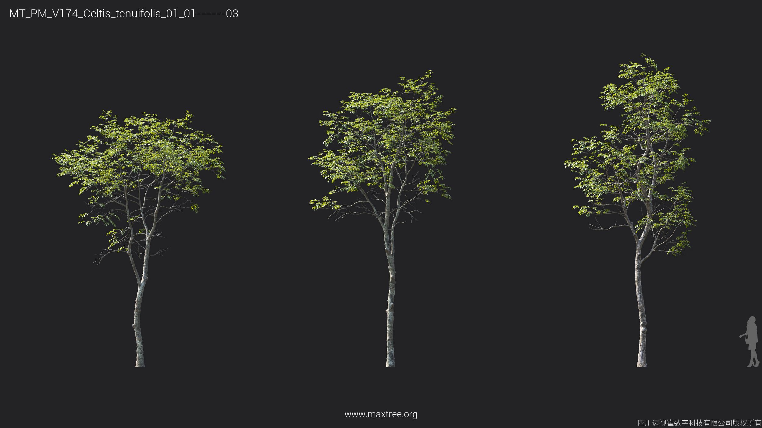 Plant Models Vol 174 - 图片 18