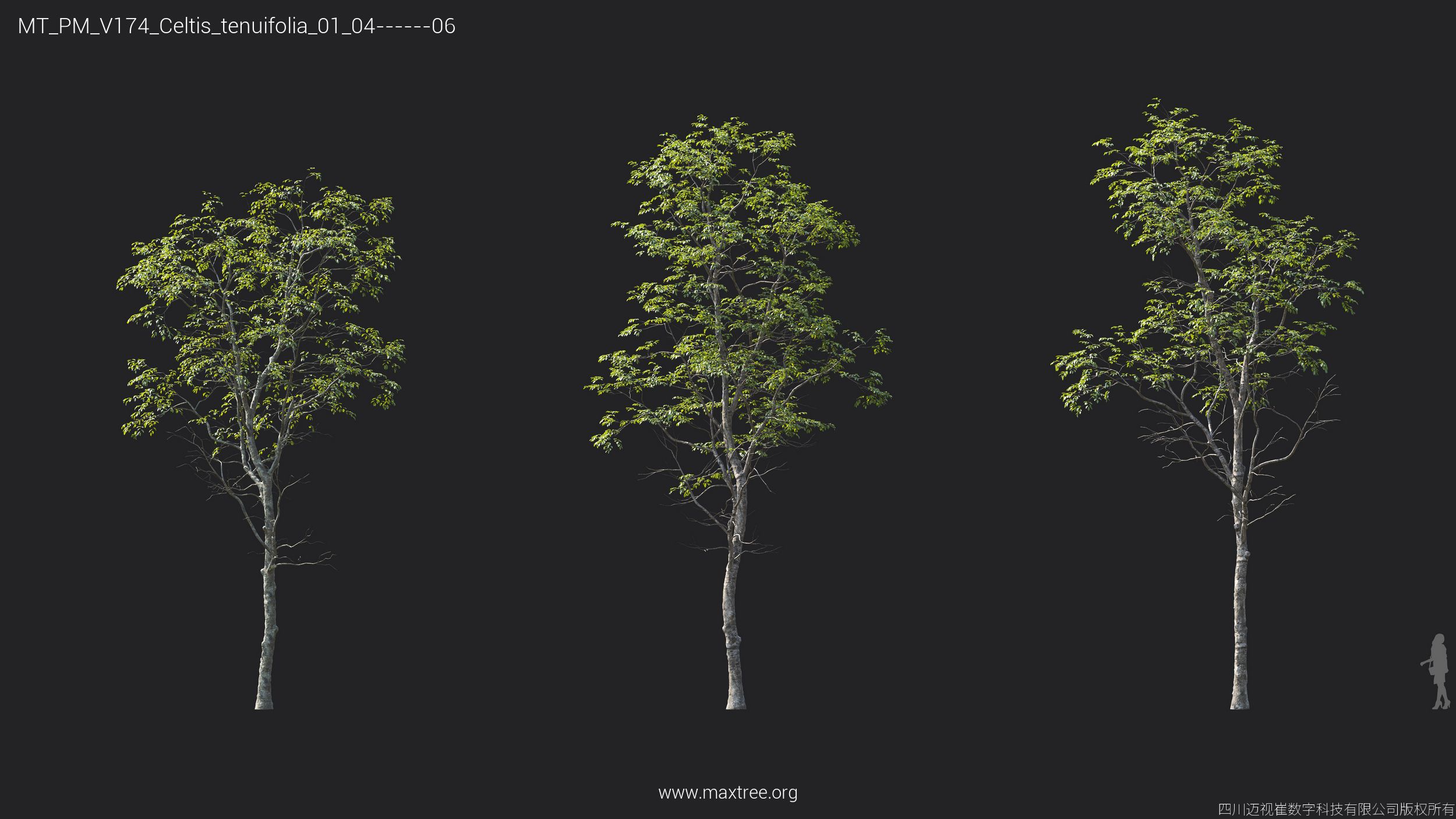 Plant Models Vol 174 - 图片 19