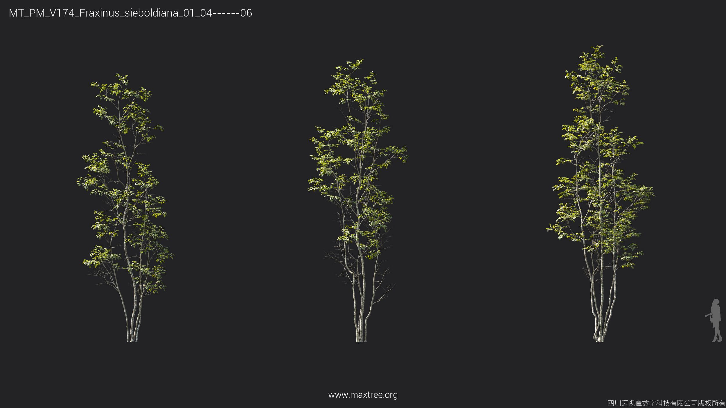 Plant Models Vol 174 - 图片 22