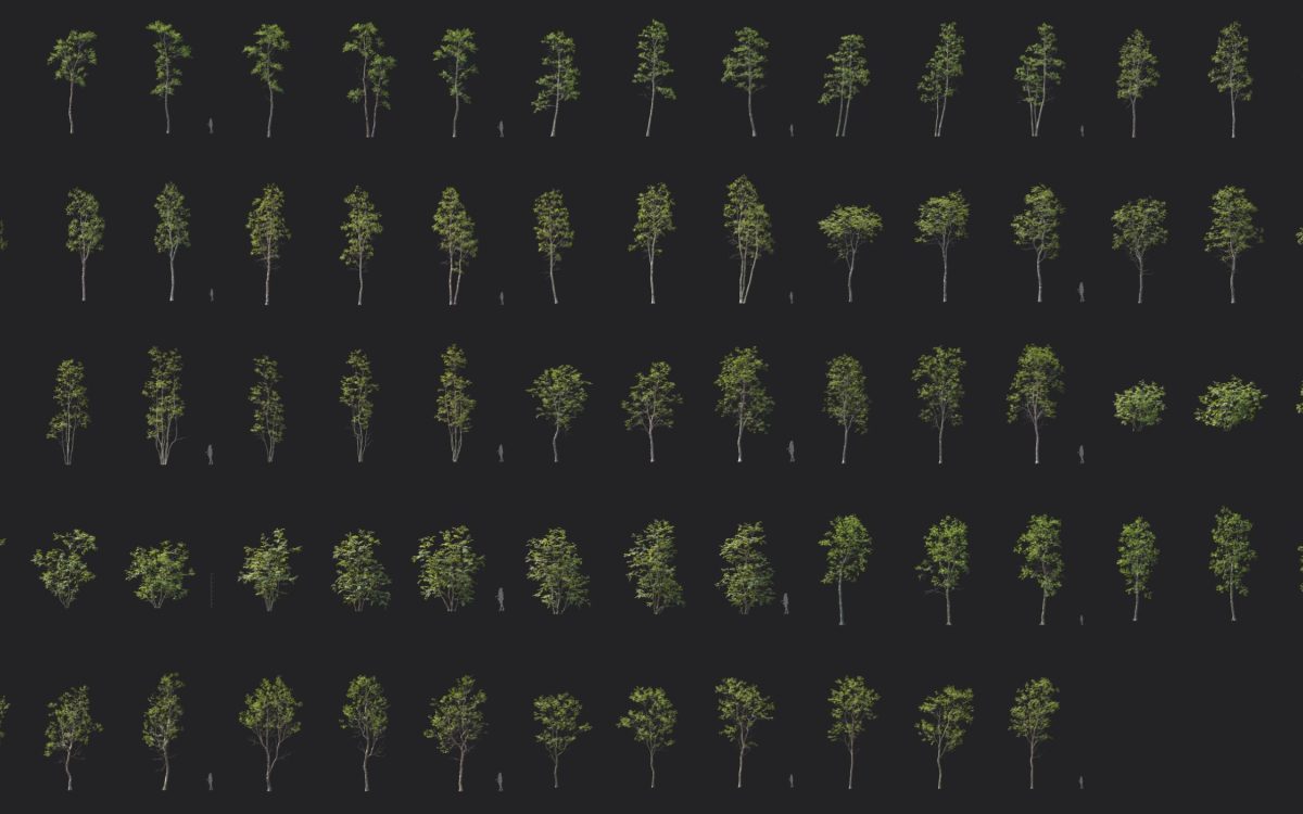 Plant Models Vol 174 - 图片 5