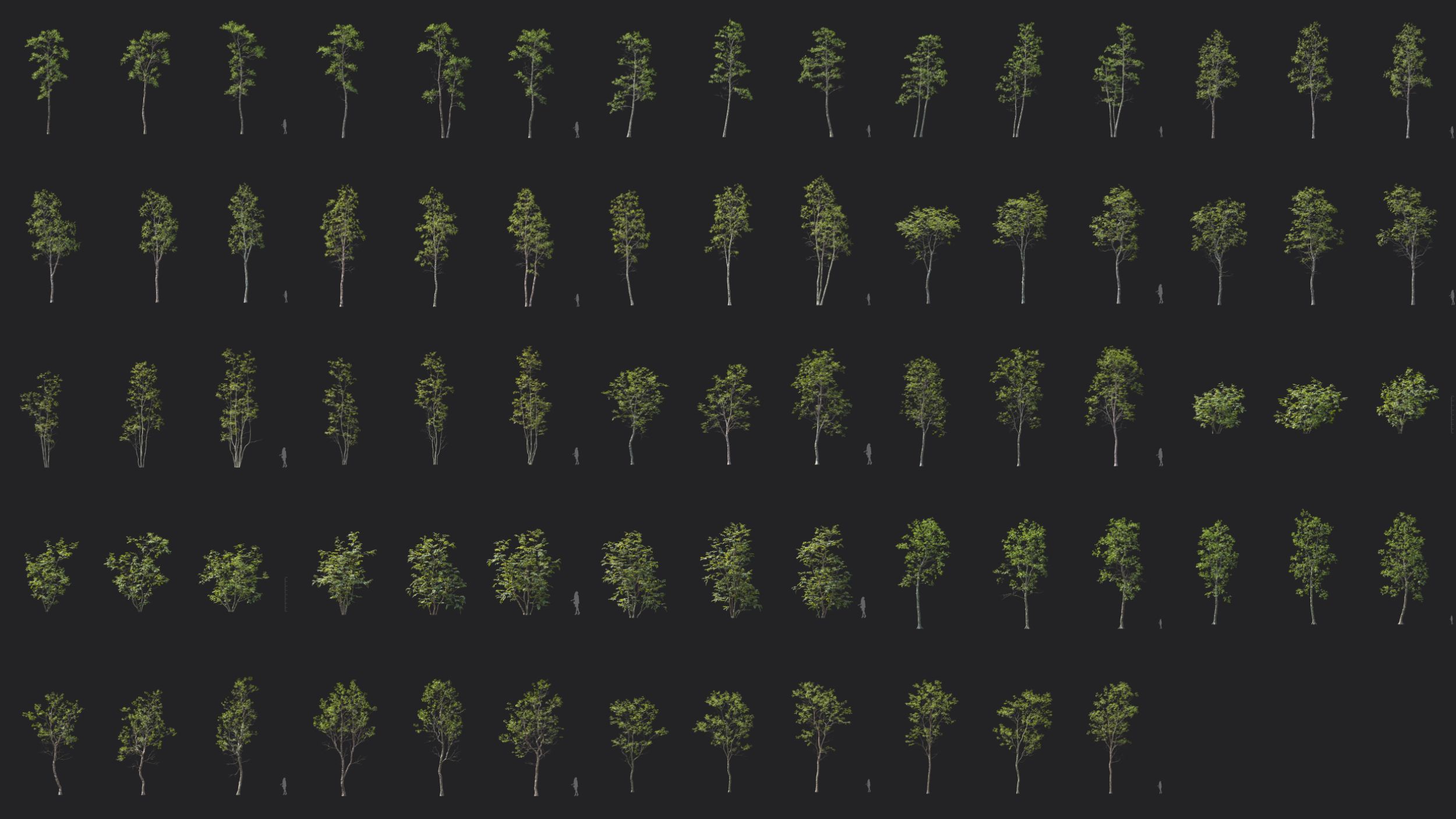 Plant Models Vol 174 - 图片 5