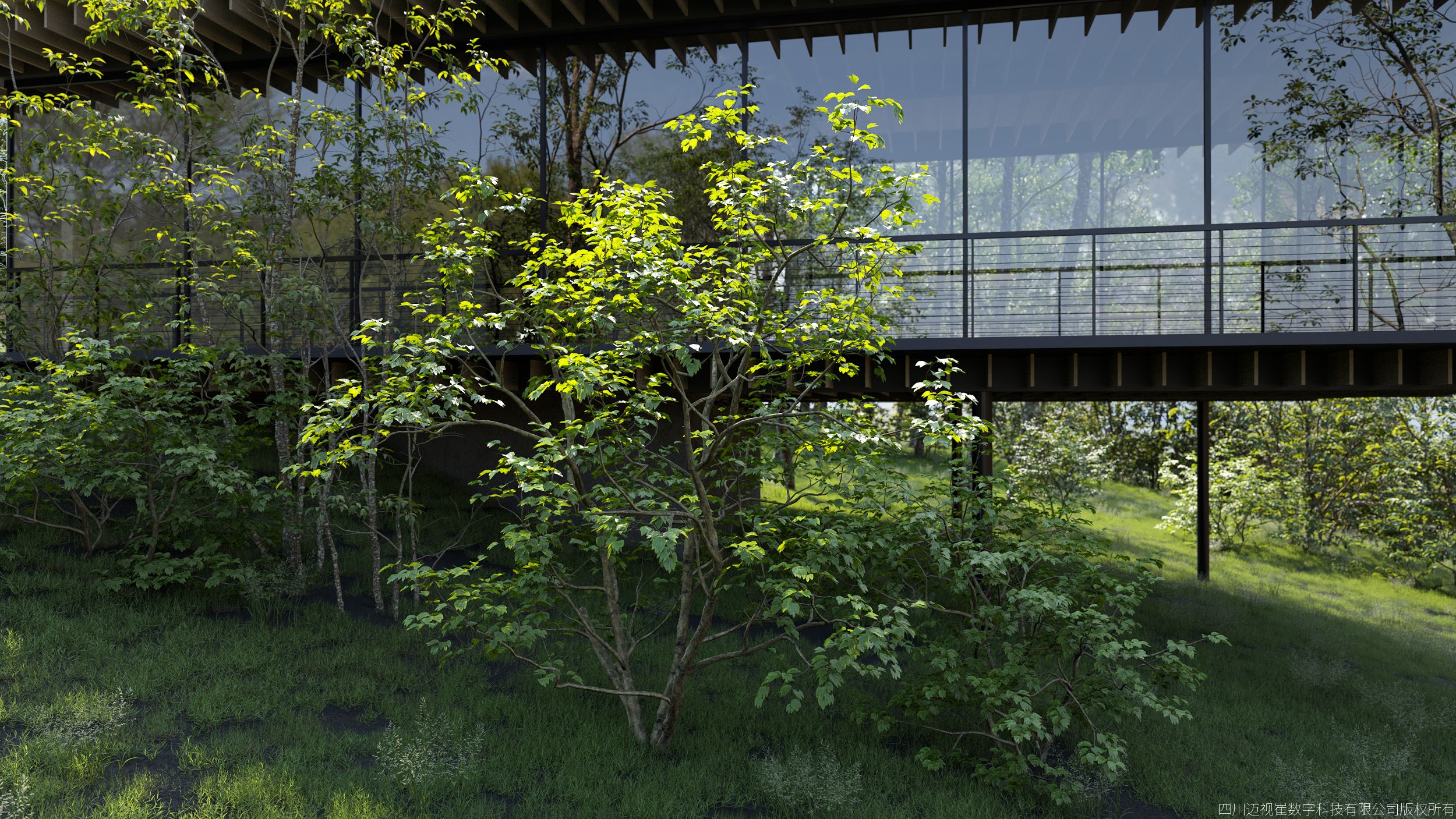 Plant Models Vol 174 - 图片 3