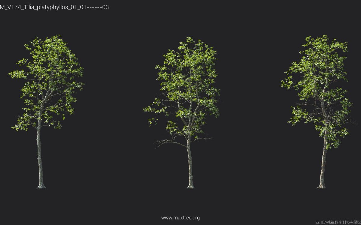 Plant Models Vol 174 - 图片 33