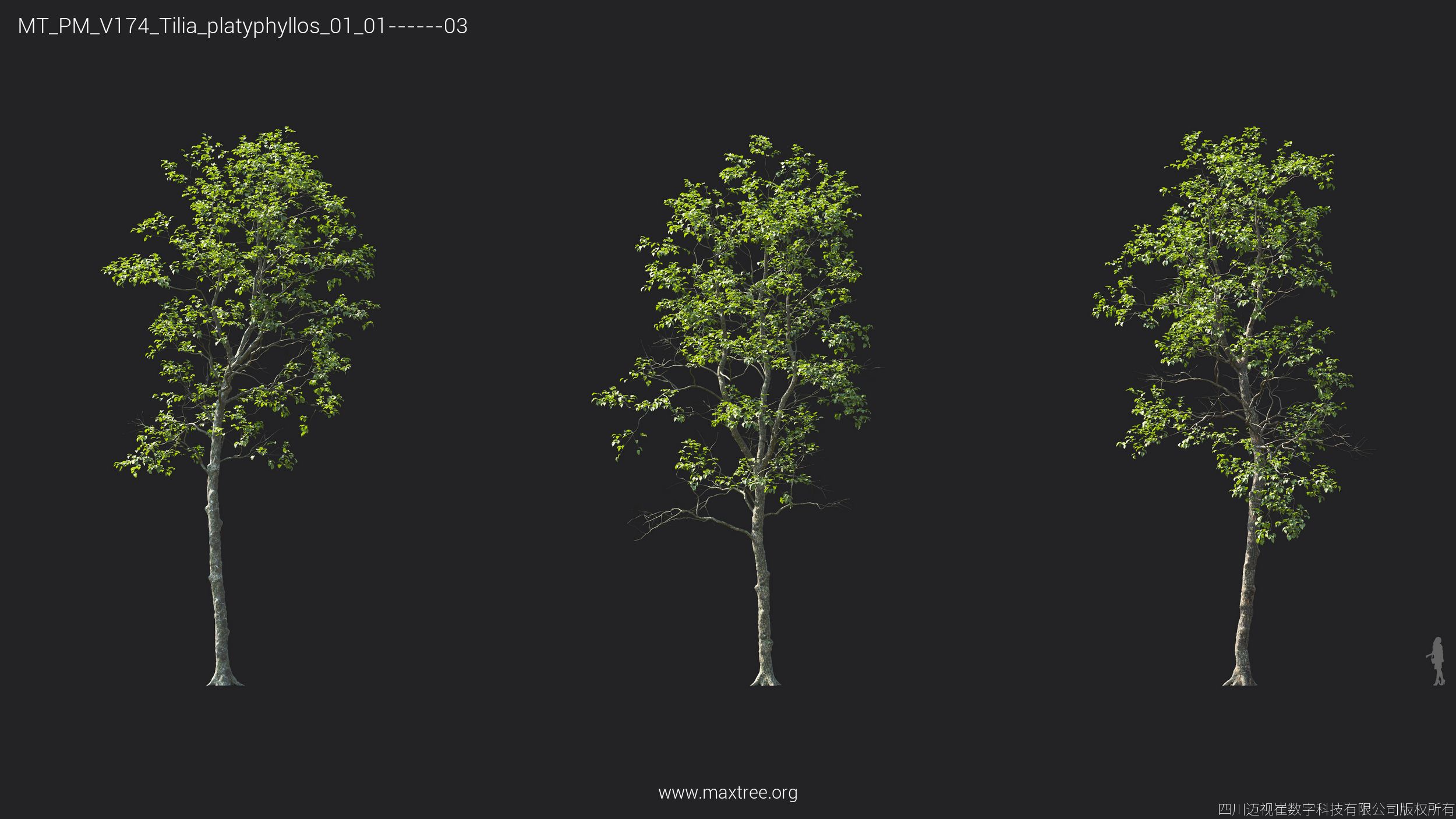 Plant Models Vol 174 - 图片 33