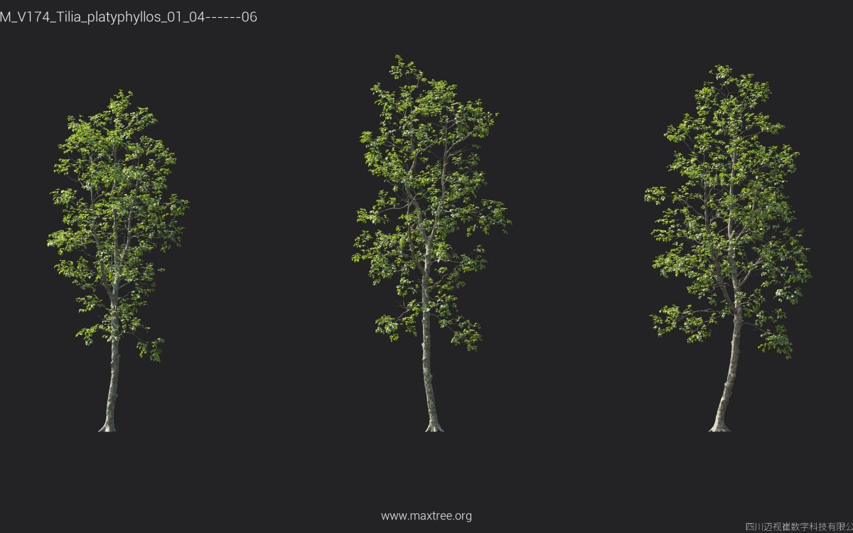 Plant Models Vol 174 - 图片 34