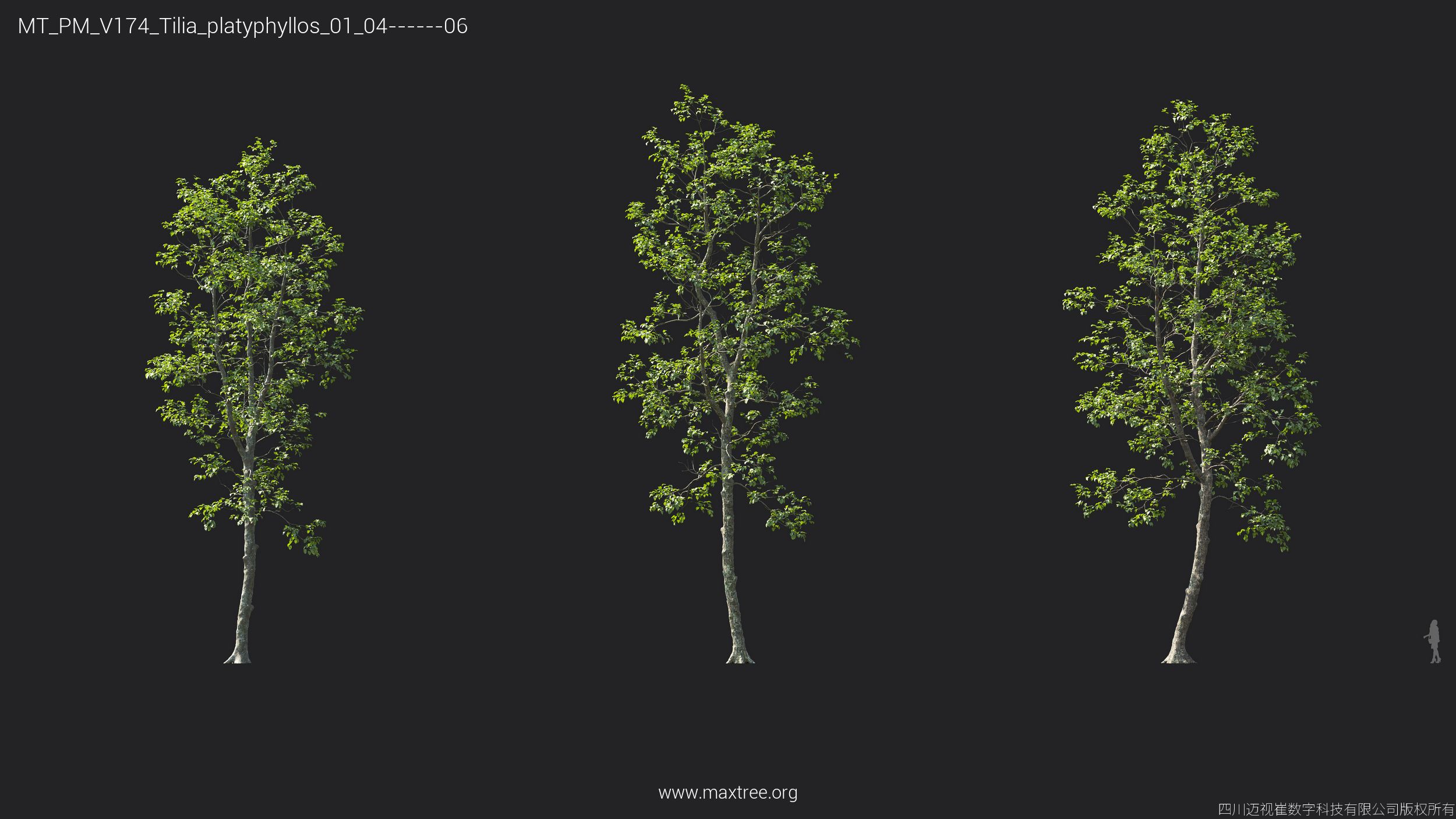 Plant Models Vol 174 - 图片 34