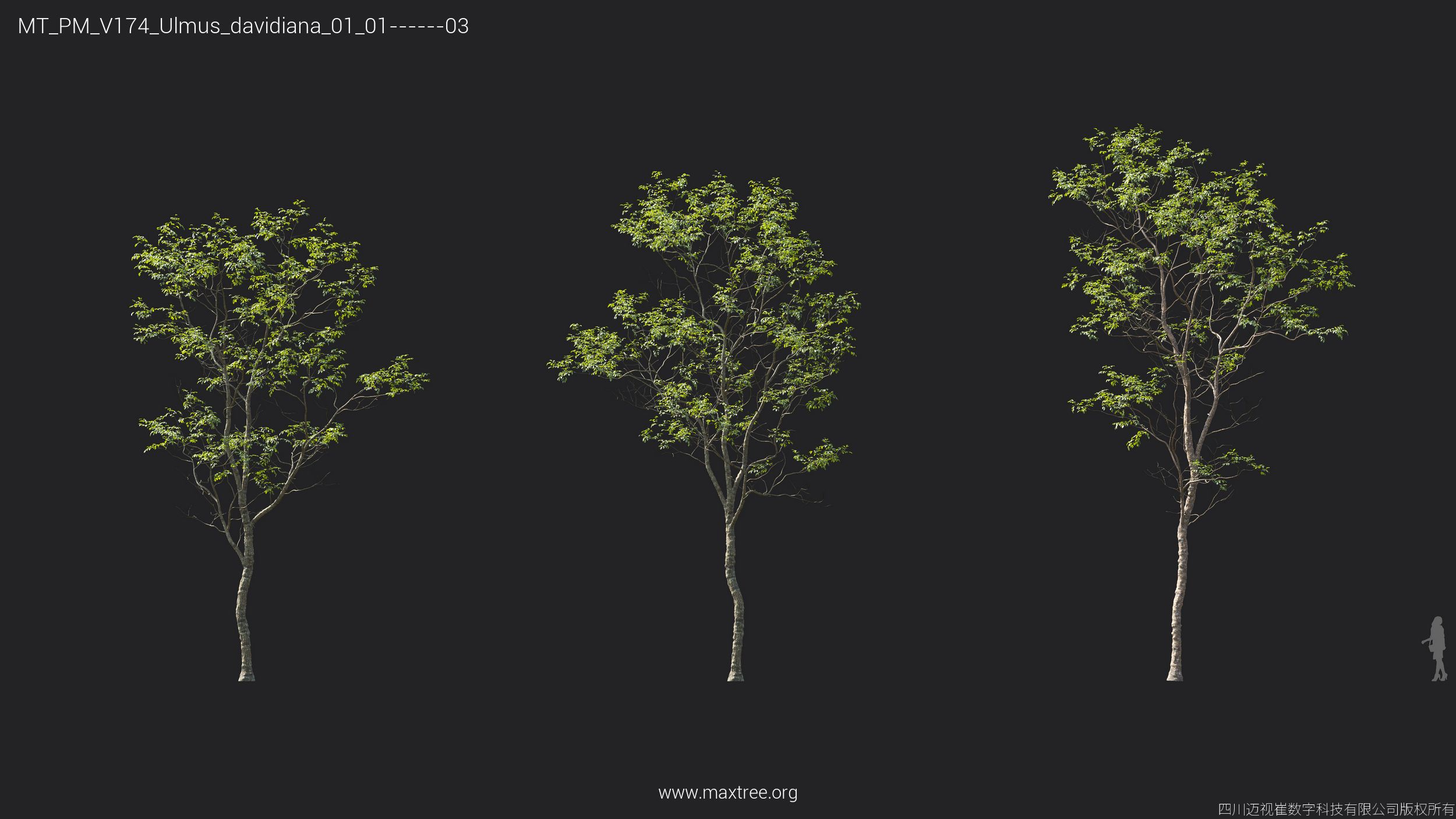 Plant Models Vol 174 - 图片 39