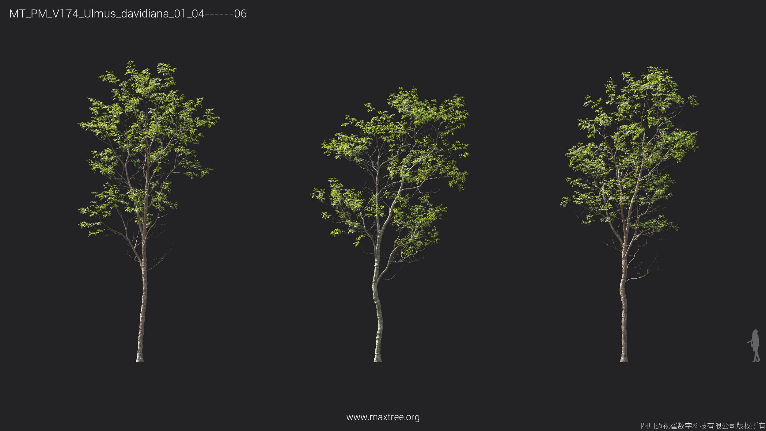 Plant Models Vol 174 - 图片 40