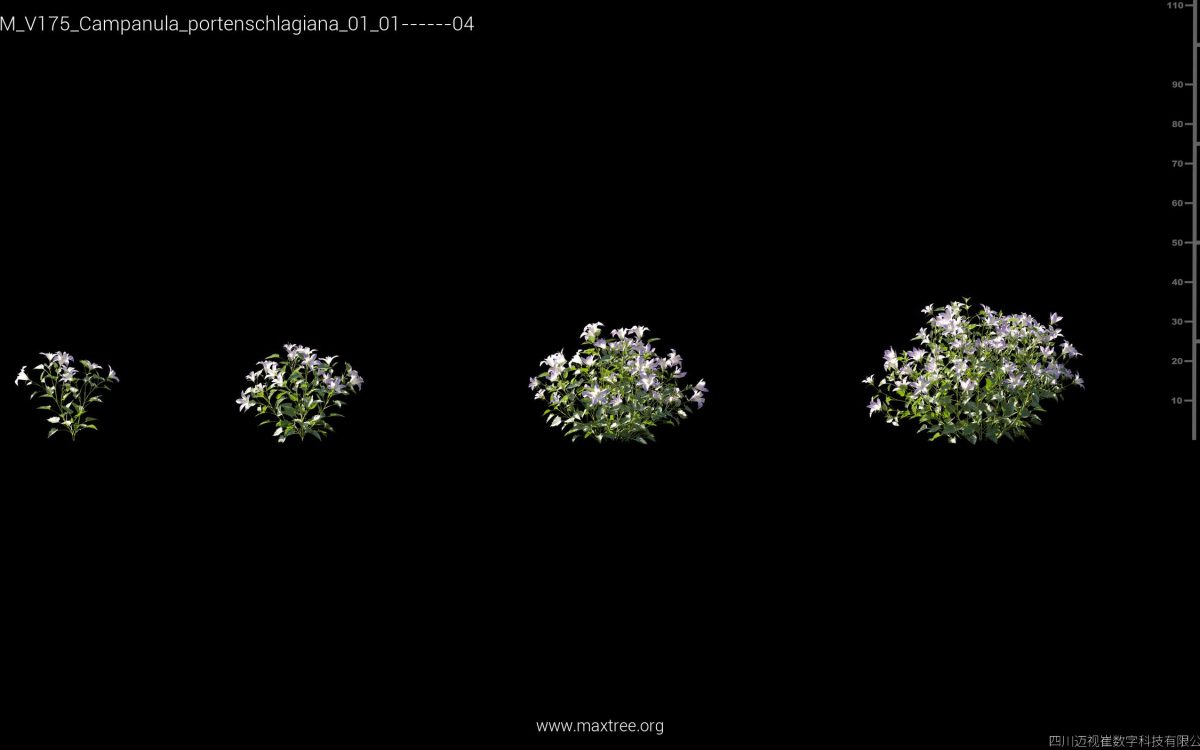 Plant Models Vol 175 - 图片 9