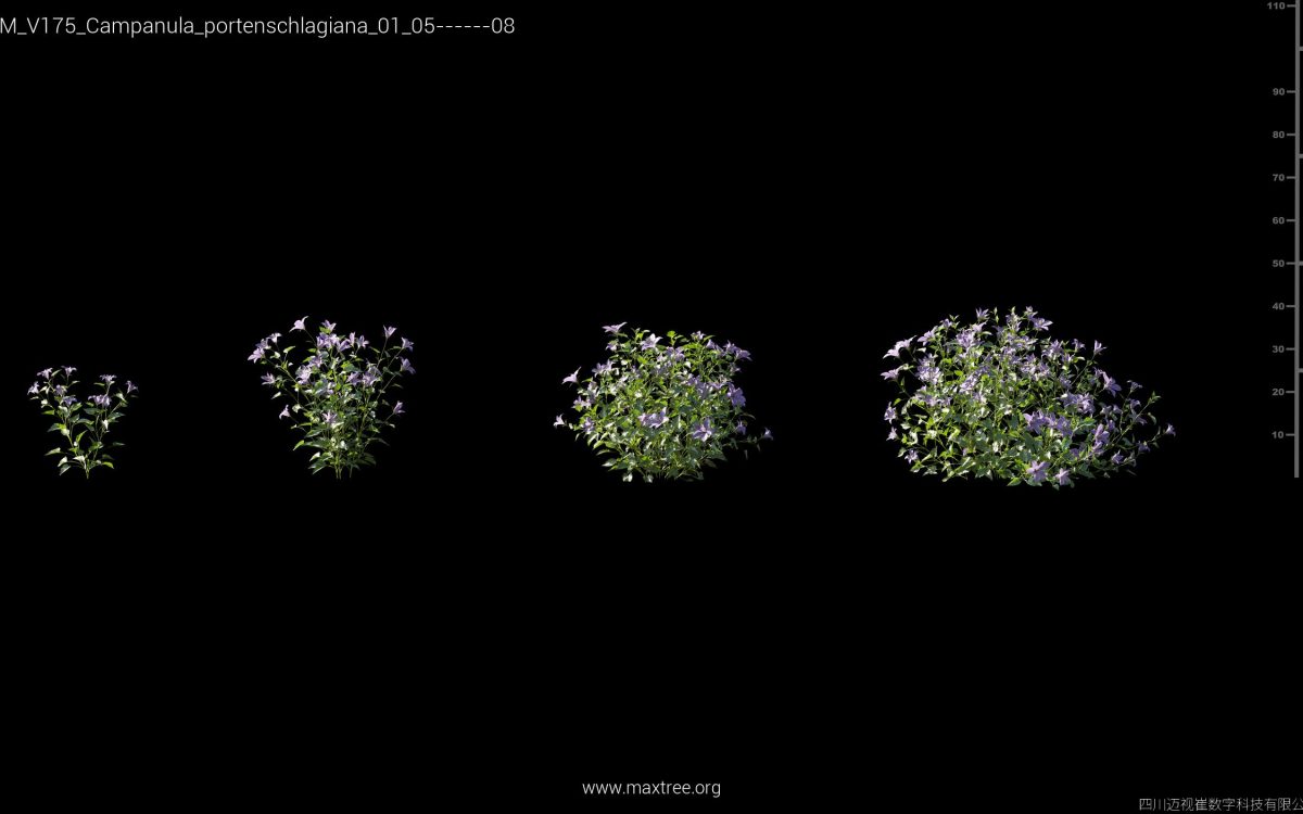 Plant Models Vol 175 - 图片 10