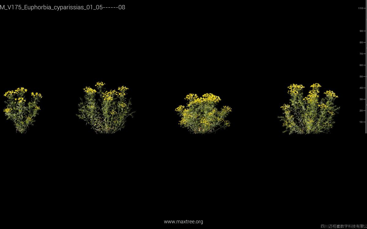 Plant Models Vol 175 - 图片 16