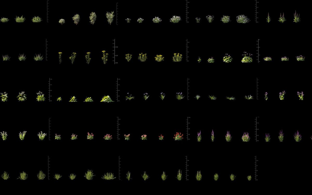 Plant Models Vol 175 - 图片 5