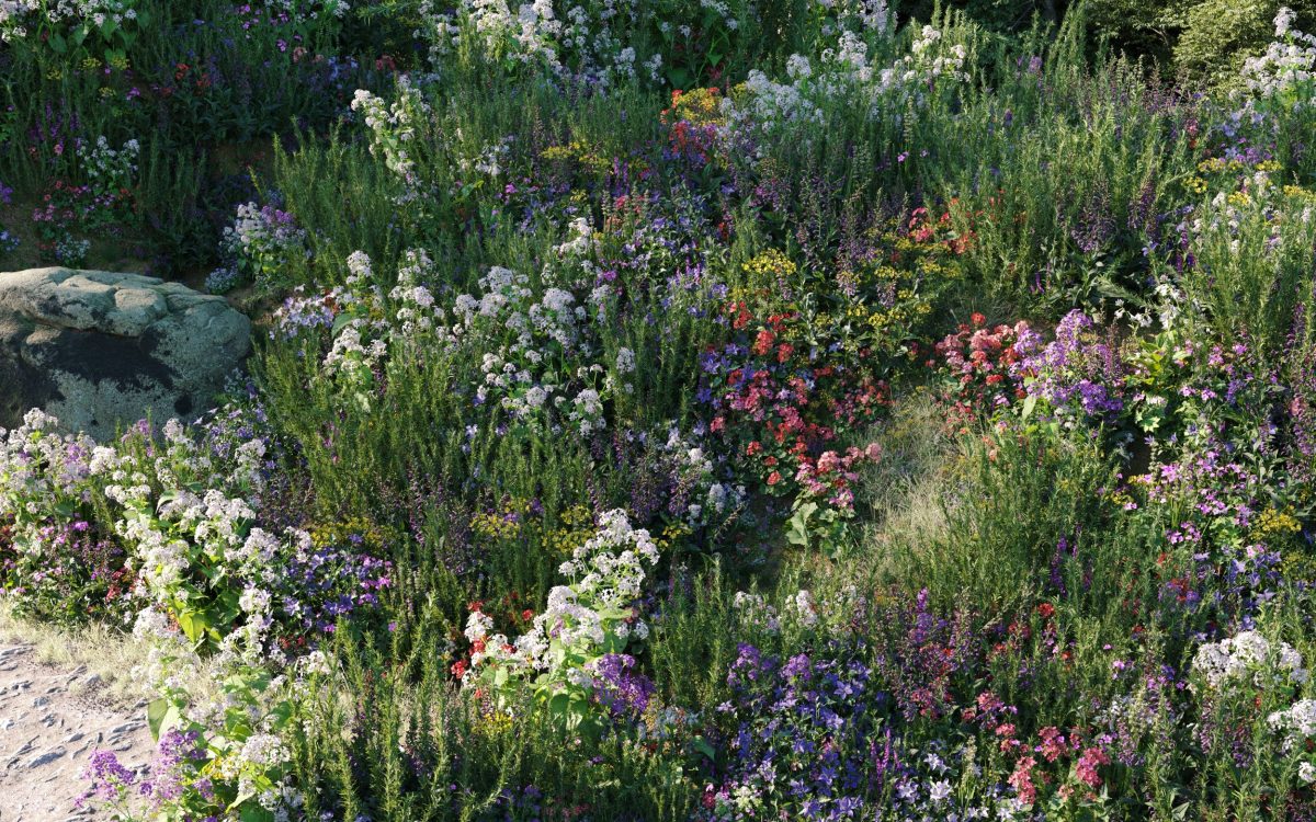 Plant Models Vol 175 - 图片 2
