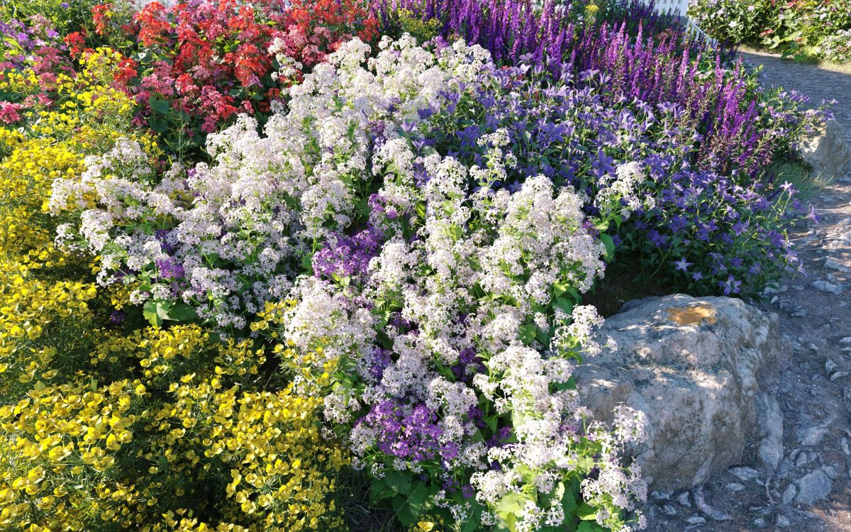 Plant Models Vol 175 - 图片 4