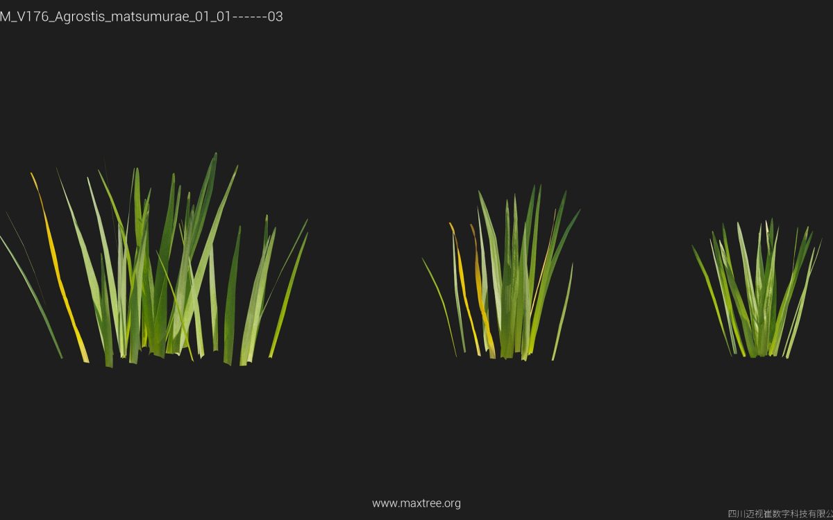 Plant Models Vol 176 - 图片 7