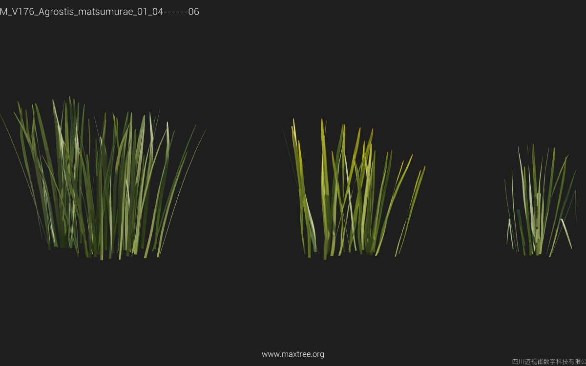 Plant Models Vol 176 - 图片 8