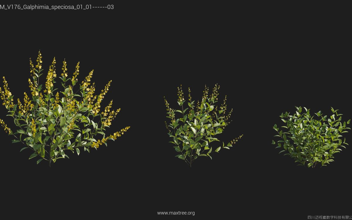 Plant Models Vol 176 - 图片 16