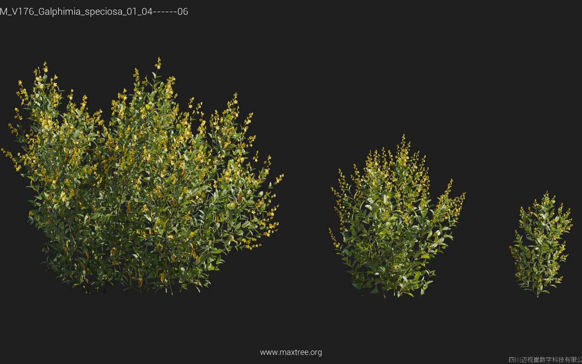 Plant Models Vol 176 - 图片 17
