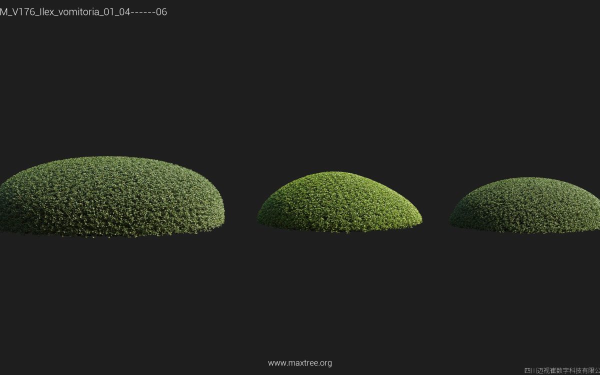 Plant Models Vol 176 - 图片 20