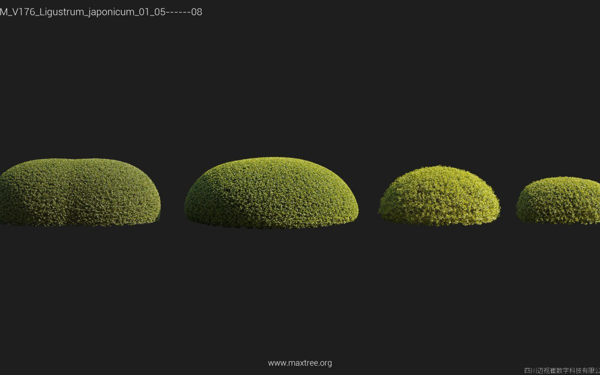 Plant Models Vol 176 - 图片 23