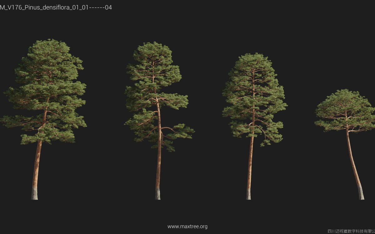 Plant Models Vol 176 - 图片 31