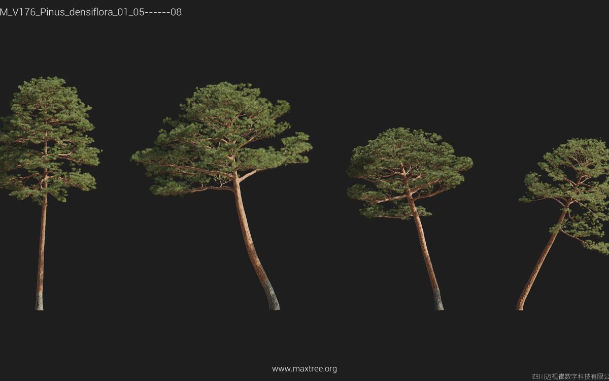 Plant Models Vol 176 - 图片 32