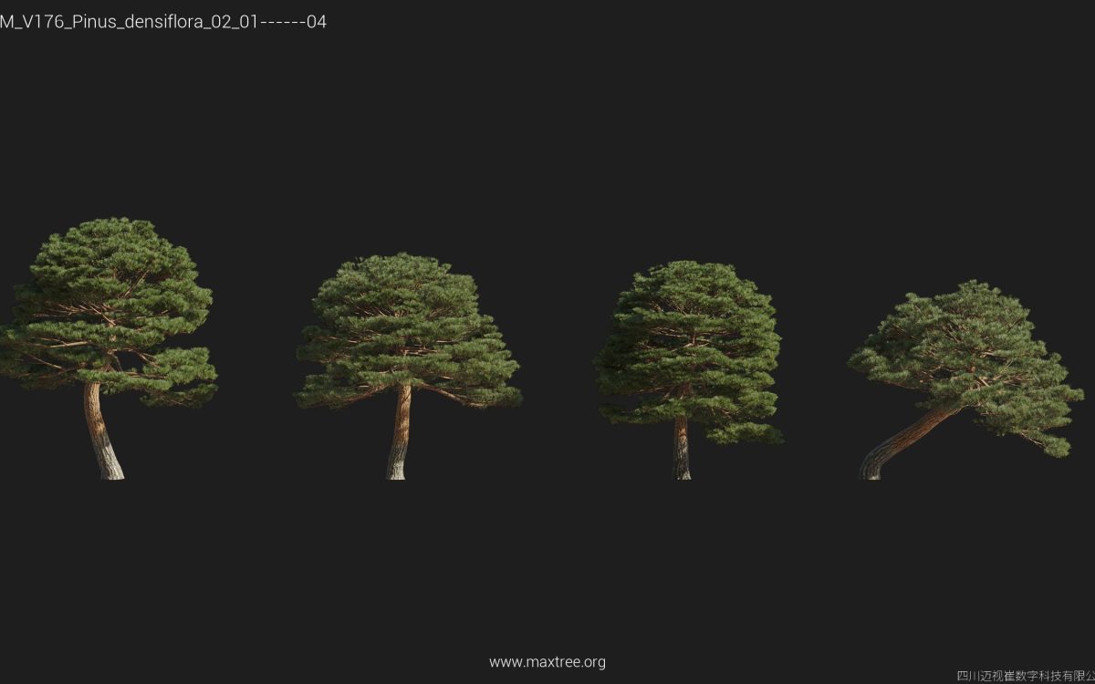 Plant Models Vol 176 - 图片 34