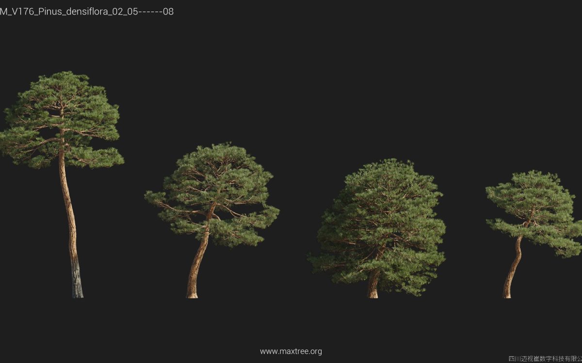 Plant Models Vol 176 - 图片 35