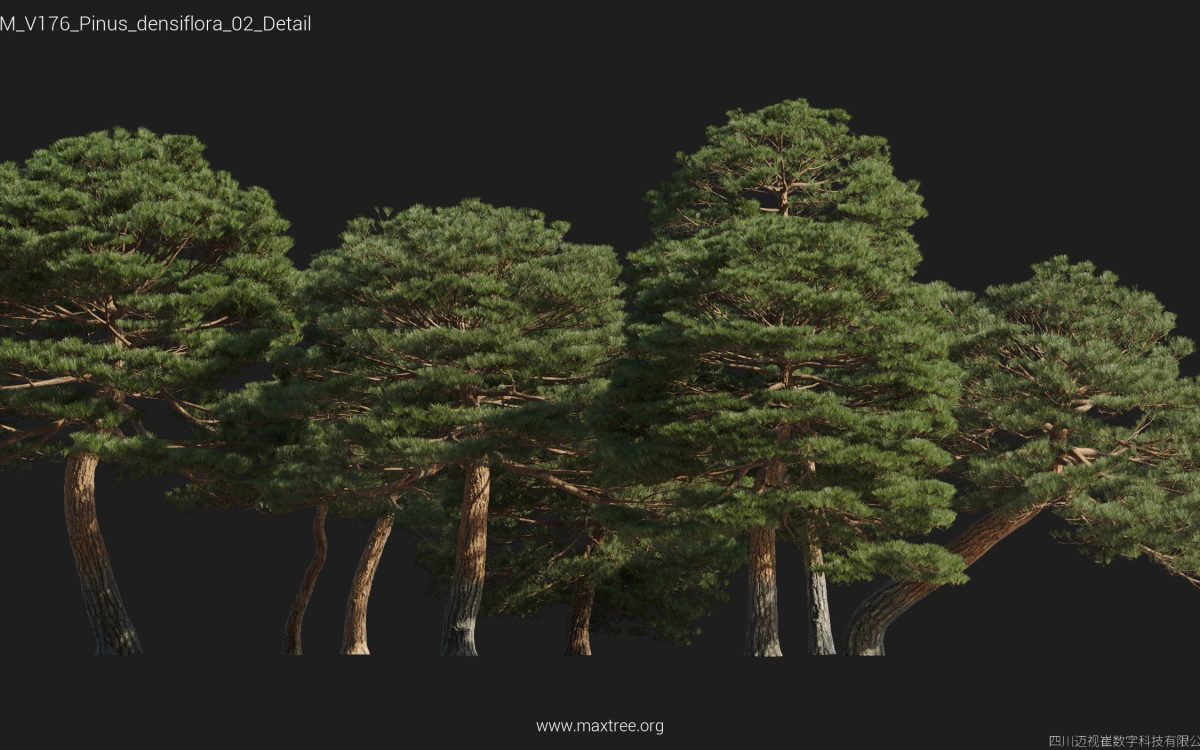 Plant Models Vol 176 - 图片 36