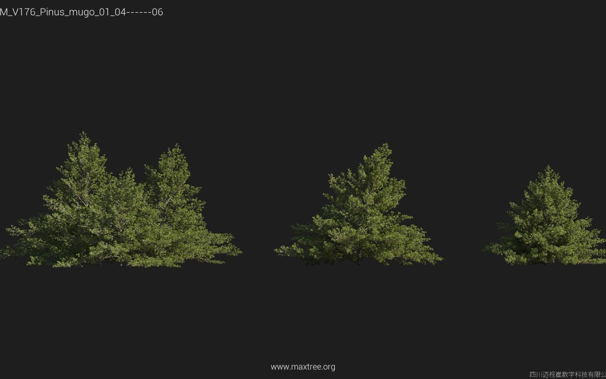 Plant Models Vol 176 - 图片 38