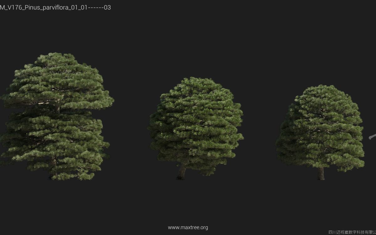 Plant Models Vol 176 - 图片 40