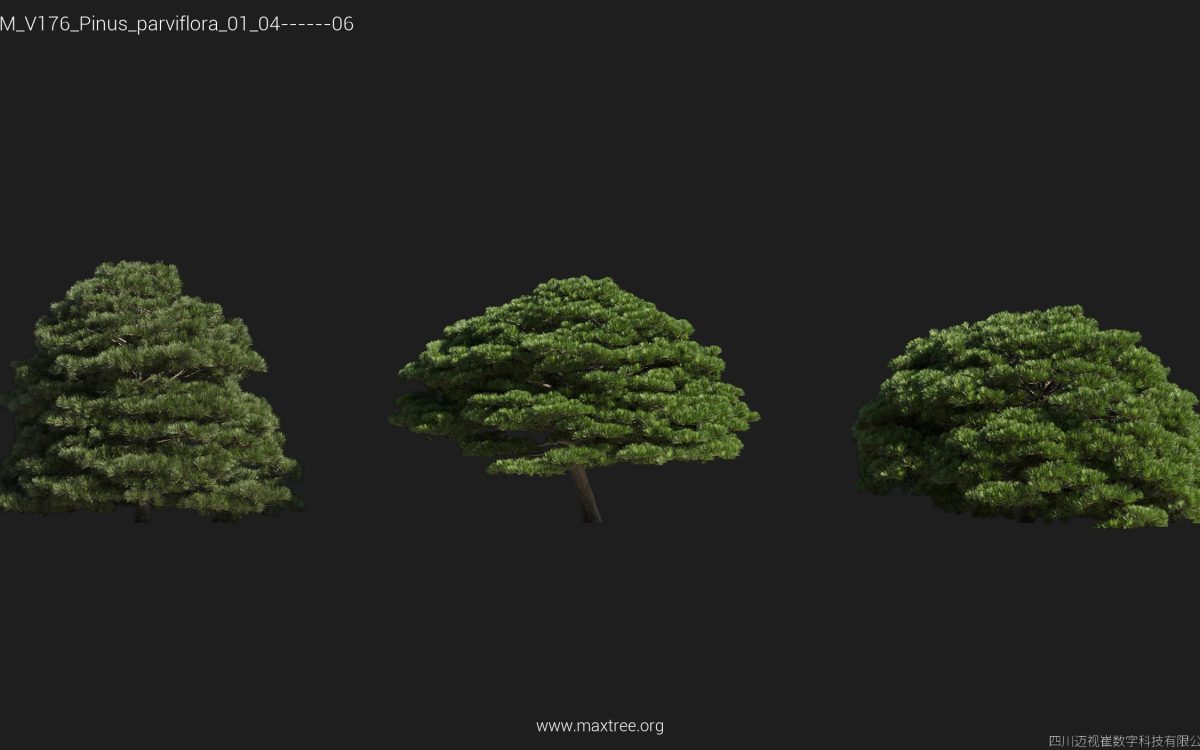 Plant Models Vol 176 - 图片 41
