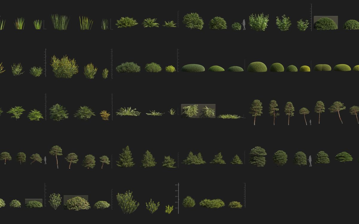 Plant Models Vol 176 - 图片 6