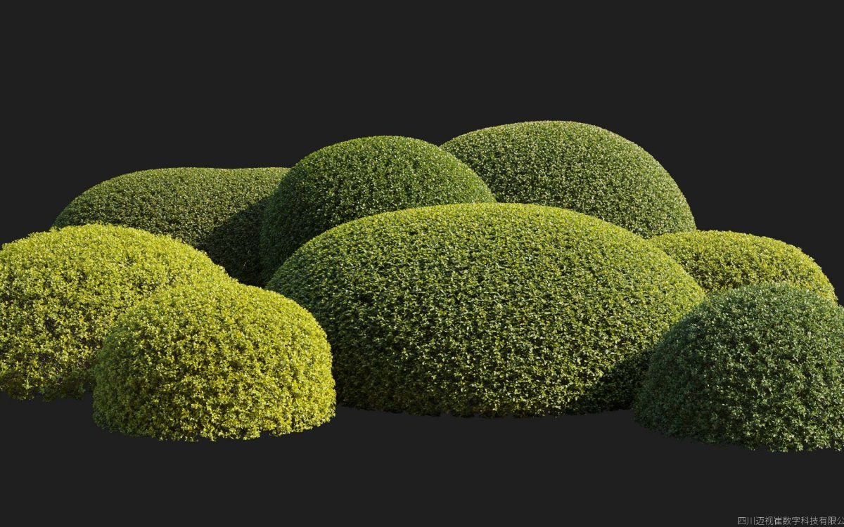 Plant Models Vol 176 - 图片 2