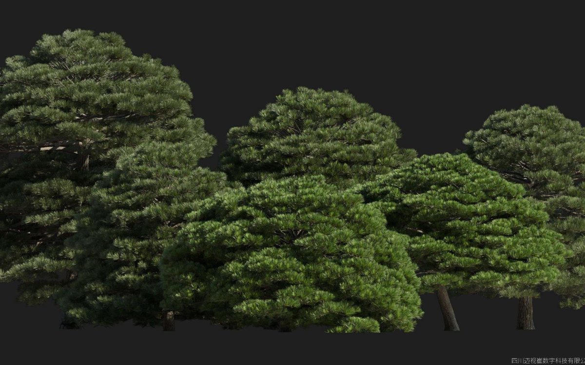 Plant Models Vol 176 - 图片 4