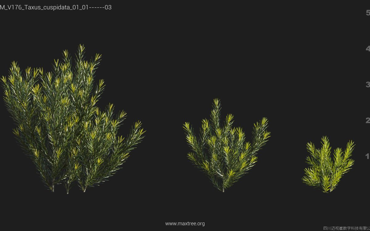 Plant Models Vol 176 - 图片 46