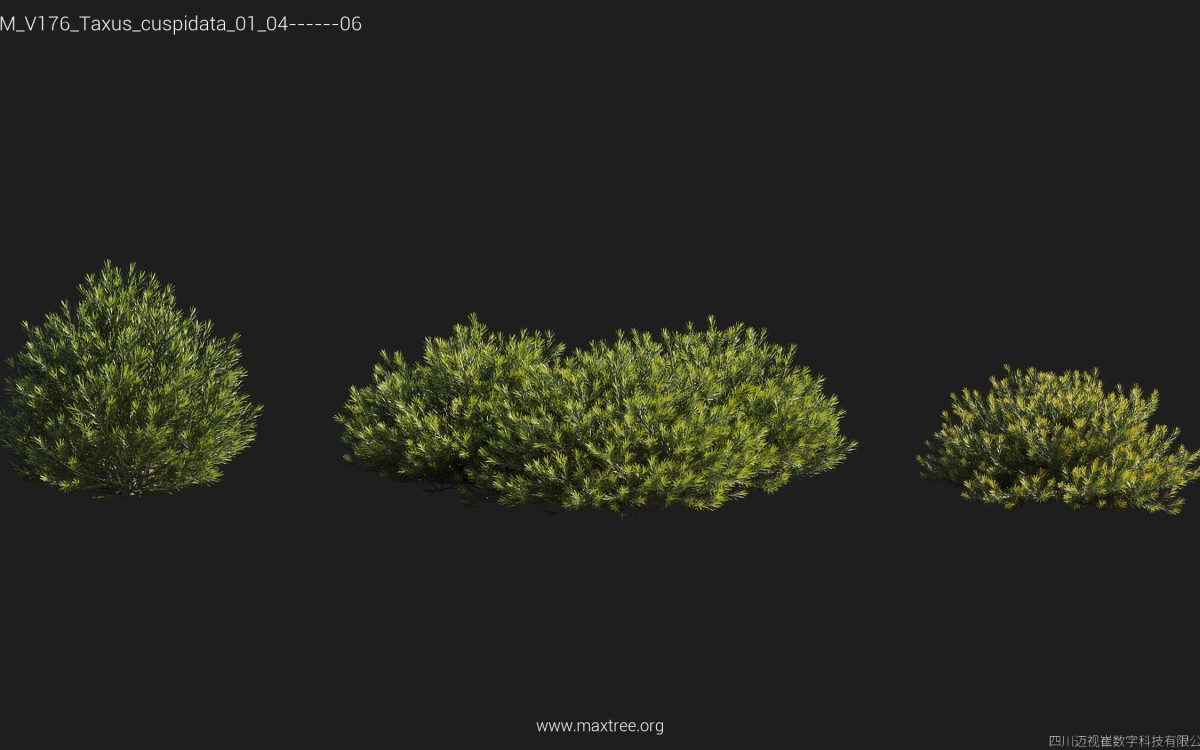 Plant Models Vol 176 - 图片 47