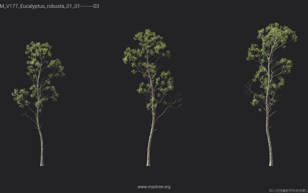 Plant Models Vol 177 - 图片 18