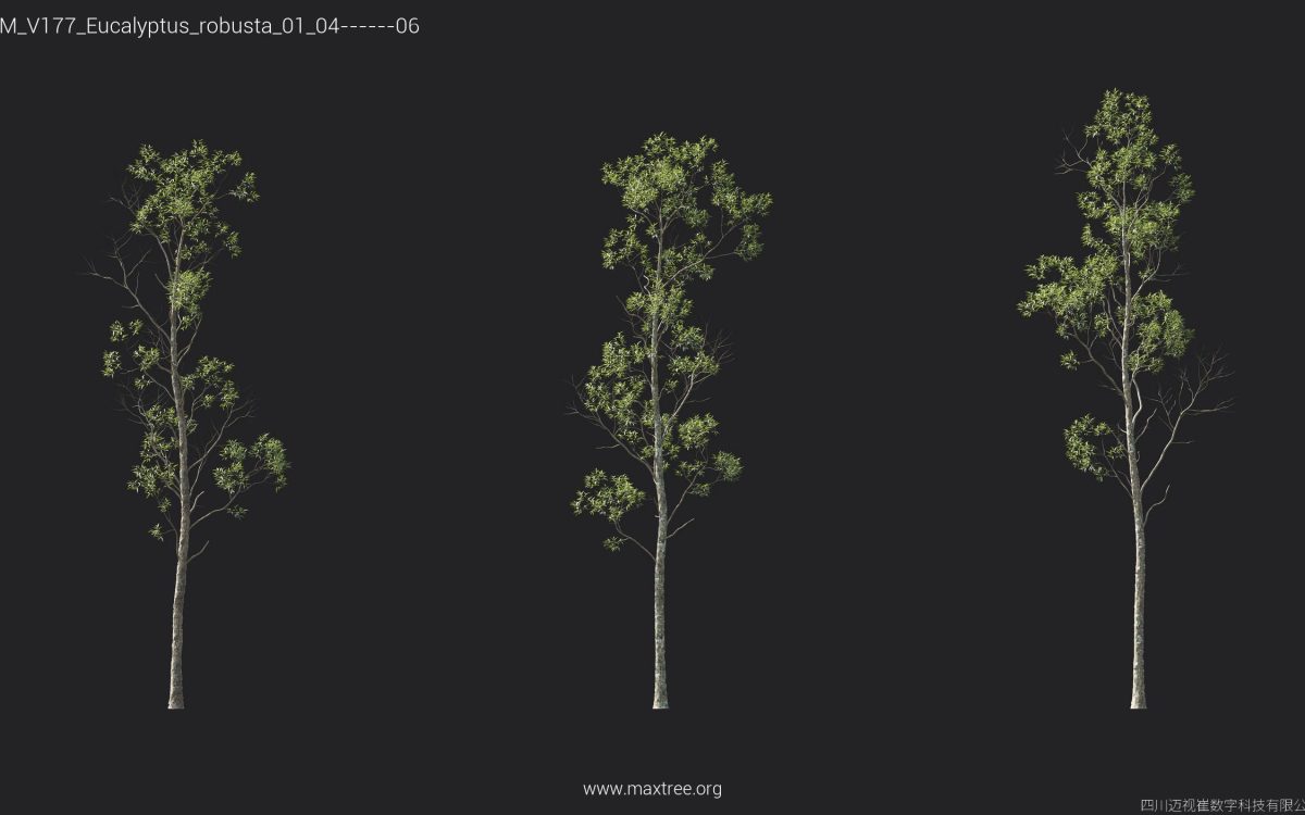 Plant Models Vol 177 - 图片 19