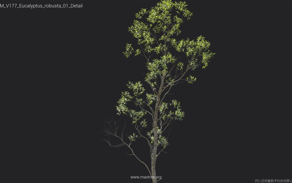 Plant Models Vol 177 - 图片 20