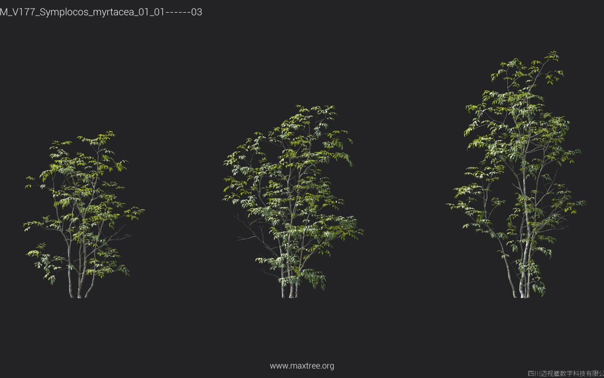 Plant Models Vol 177 - 图片 36
