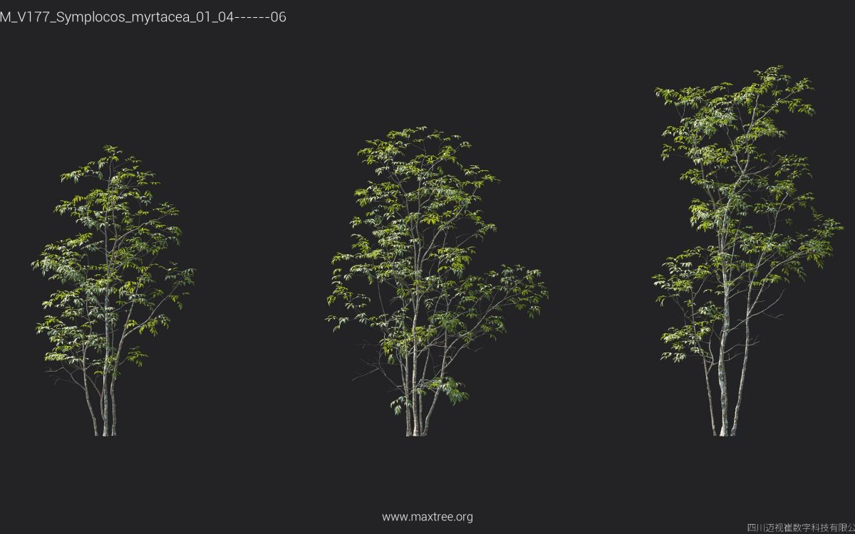 Plant Models Vol 177 - 图片 37