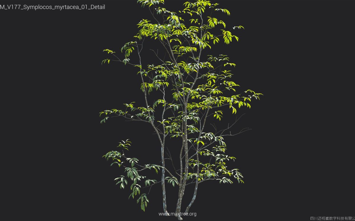 Plant Models Vol 177 - 图片 38