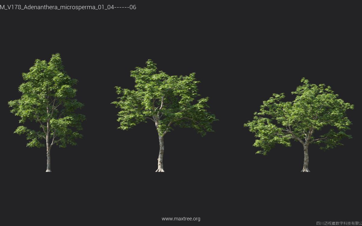 Plant Models Vol 178 - 图片 7