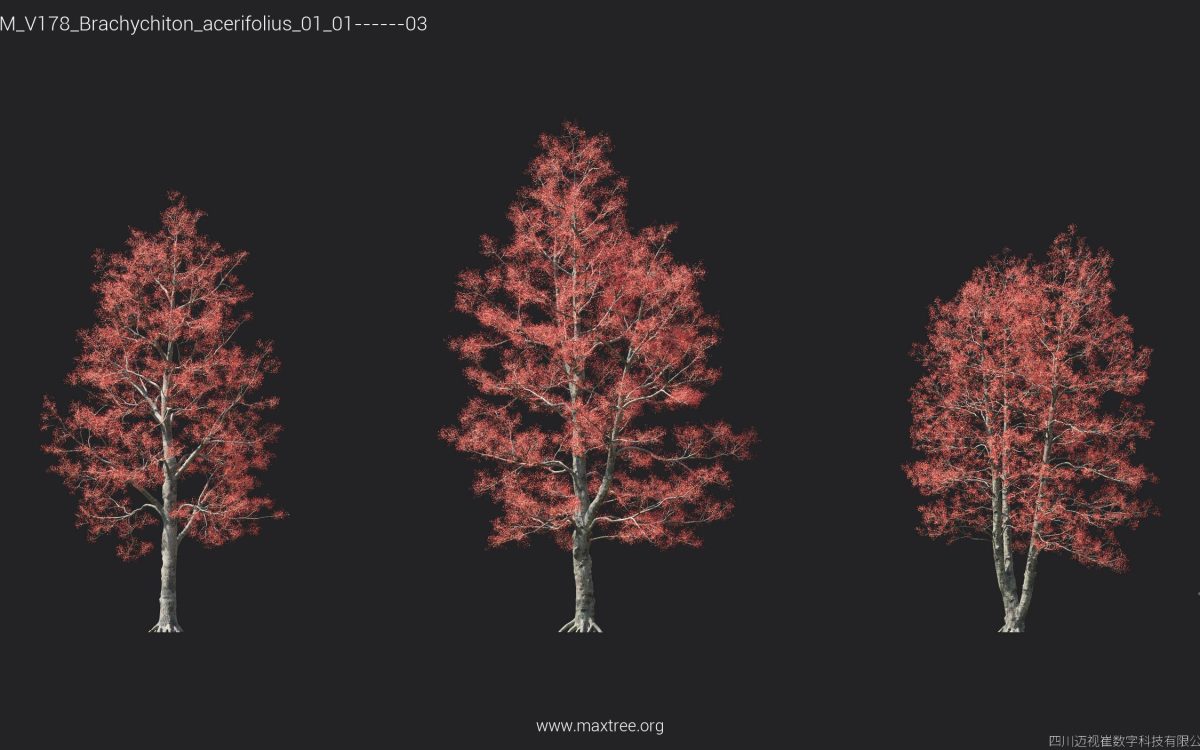 Plant Models Vol 178 - 图片 8