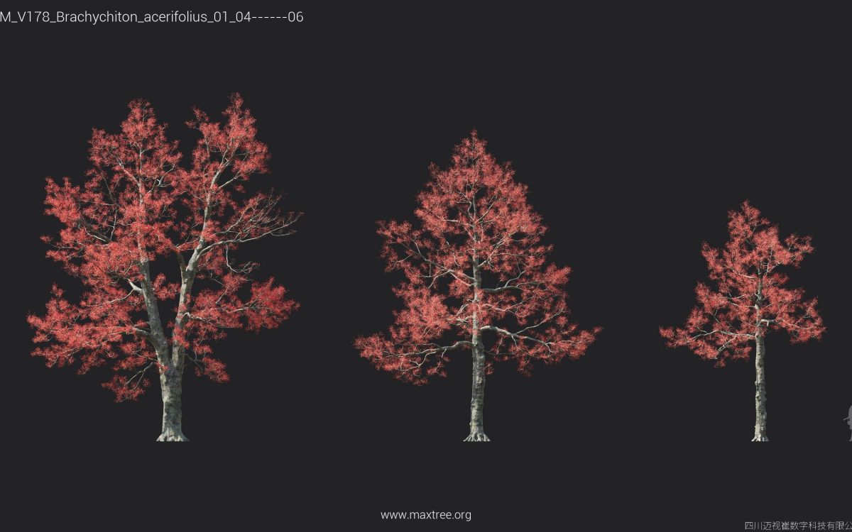 Plant Models Vol 178 - 图片 9